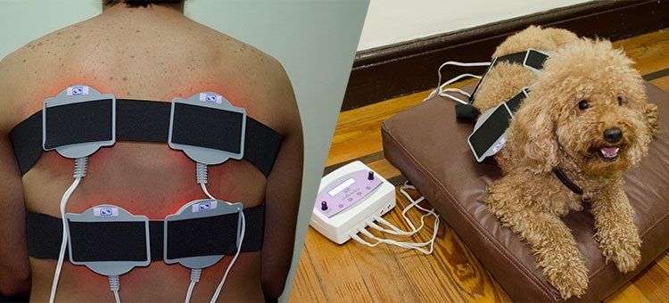 Aplicación Fototerapia